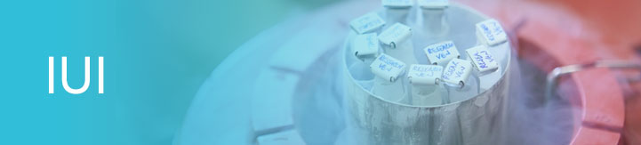 artificial insemination in thailand