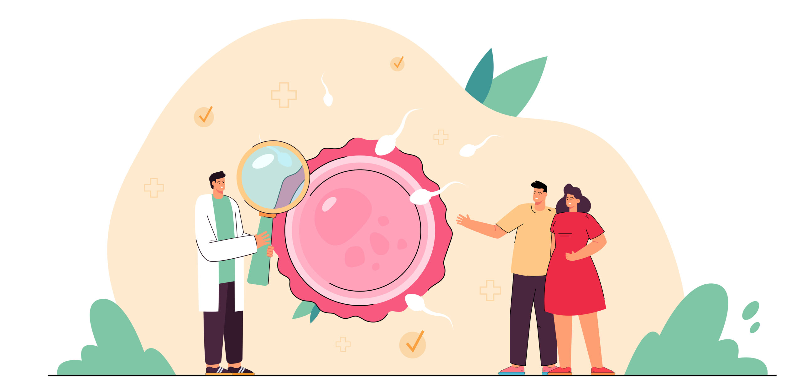 อะไรคือความแตกต่างระหว่าง IVF Treatment กับเด็กหลอดแก้ว?
